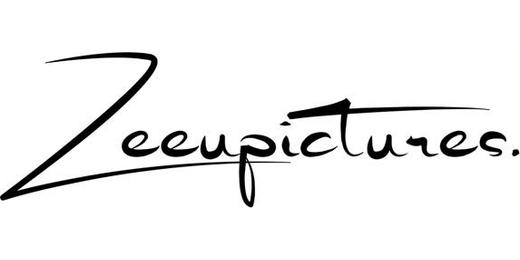 Zeeupictures logo